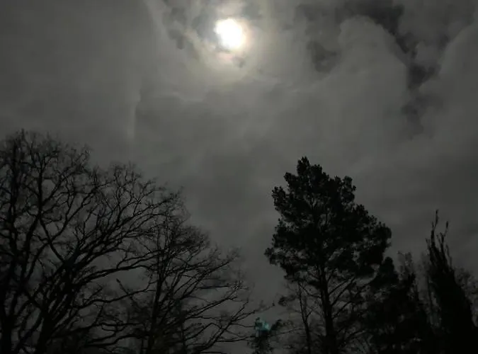 Bendestorf, Waldweg 38,naehe Hamburg Tatil Evi Bendestorf